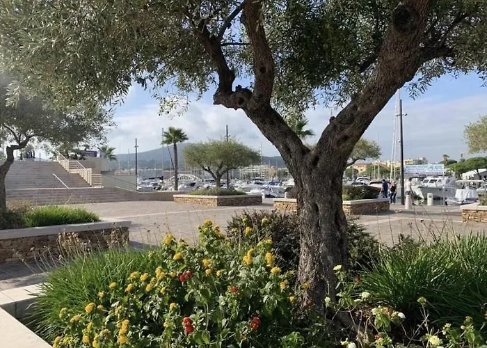 Villa Sm26 19 Maxime Avec Piscine Apercu Proche Centre Sainte-Maxime